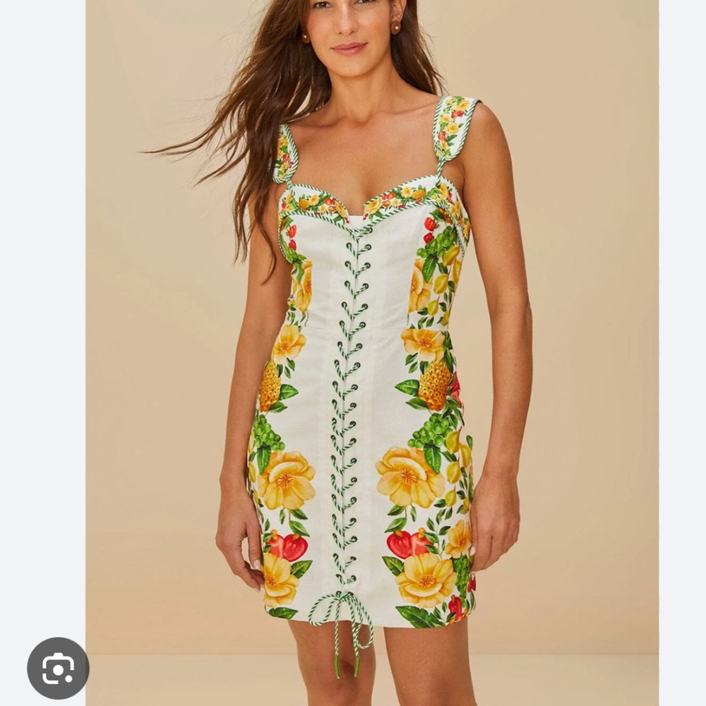 Farm Rio Picnic Flowers Mini Dress